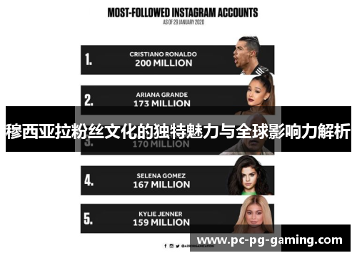 穆西亚拉粉丝文化的独特魅力与全球影响力解析